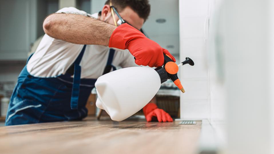 certified pest control