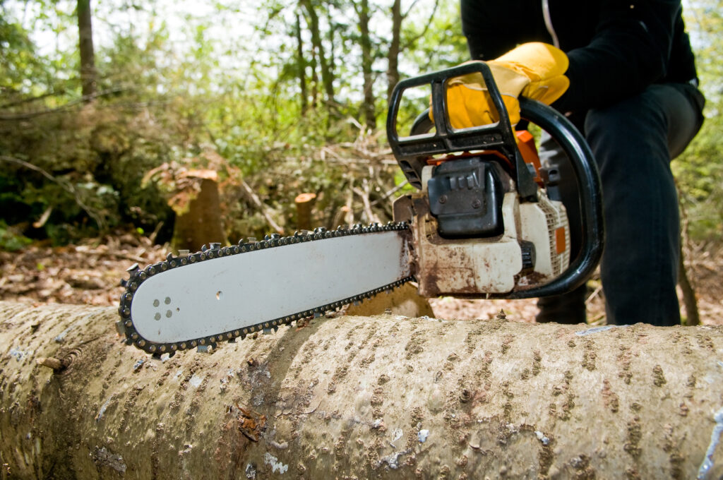 tree care calgary